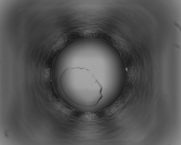 X0000091880278200709191202