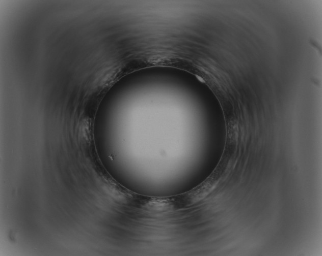 X0000091880280200709191202