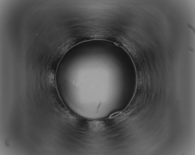 X0000091880281200709191202