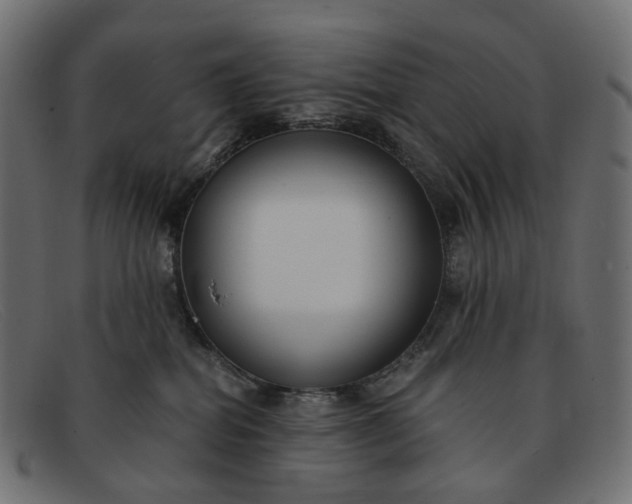 X0000091880282200709191202