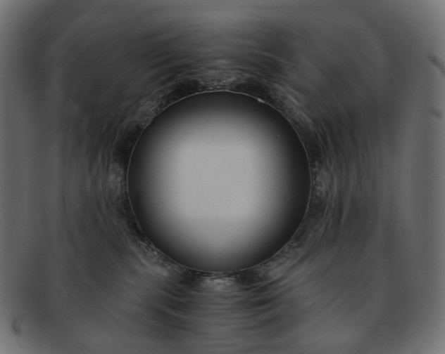 X0000091880283200709191202