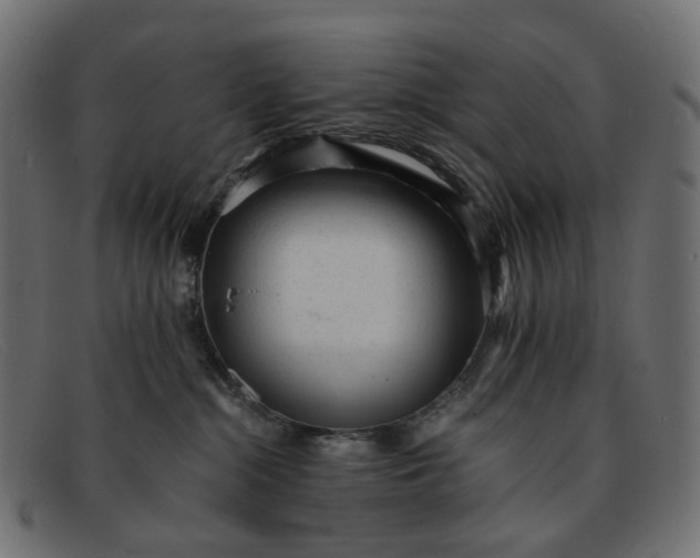 X0000091880284200709191202