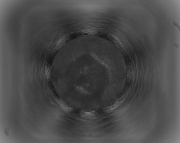 X0000091880285200709191202