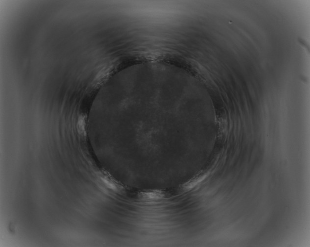 X0000091880286200709191202