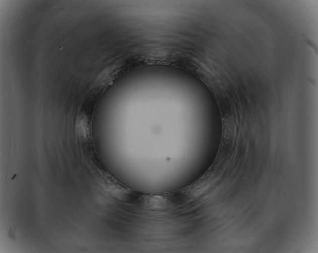 X0000091880287200709191202