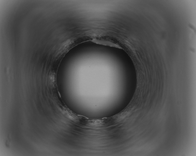 X0000091880288200709191202