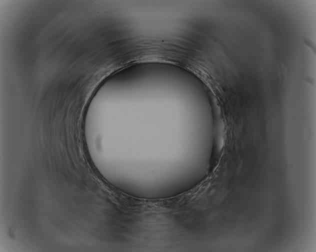 X0000091880289200709191202