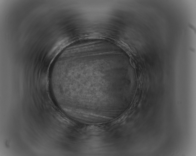 X0000091880290200709191202