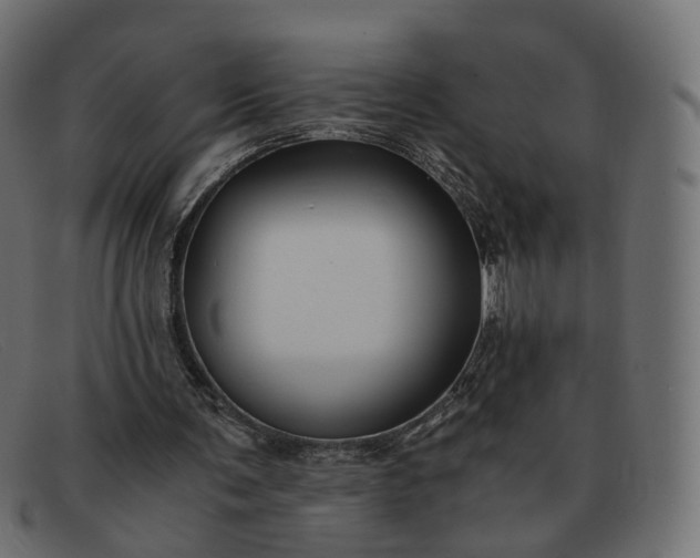 X0000091880291200709191202