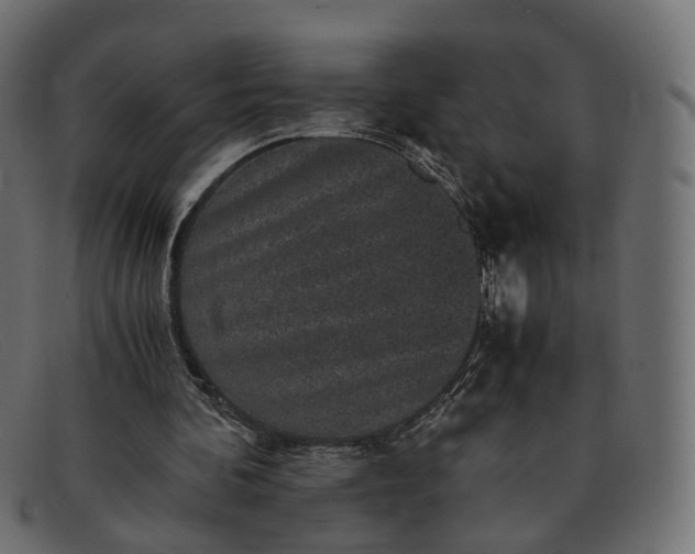 X0000091880292200709191202