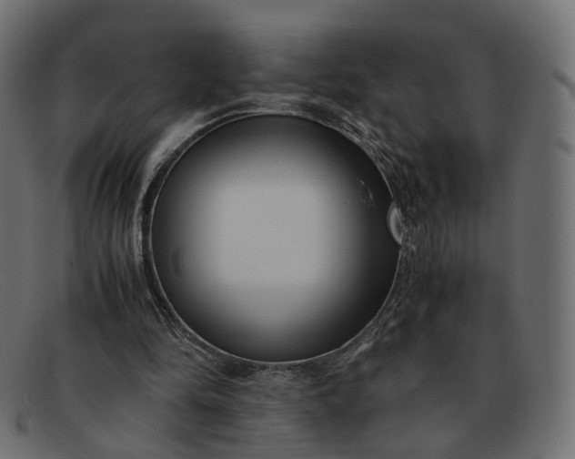 X0000091880294200709191202