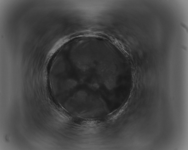 X0000091880295200709191202