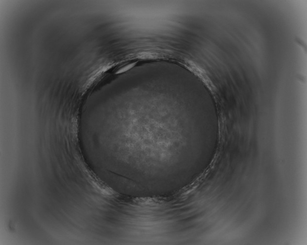 X0000091880297200709191202