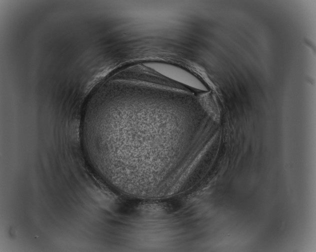 X0000091880299200709191202