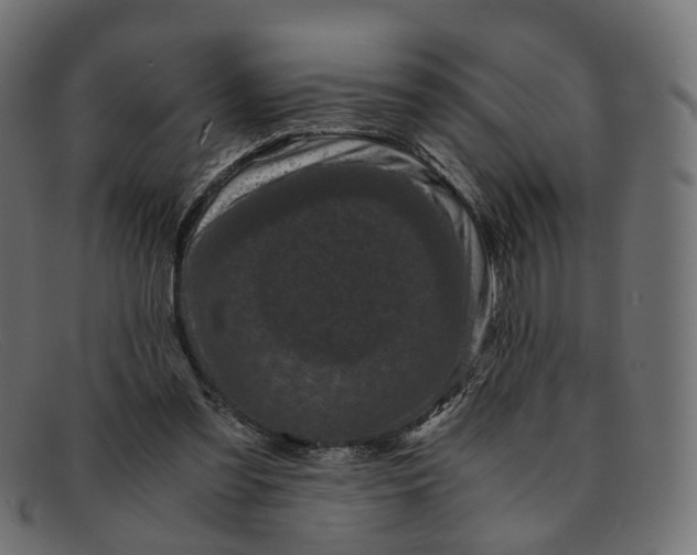 X0000091880301200709191202