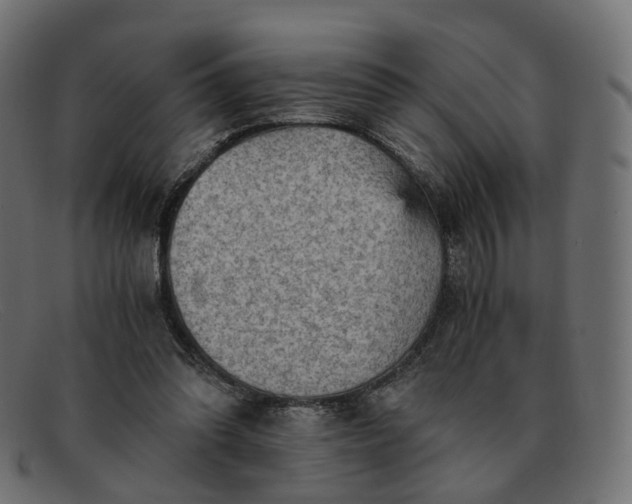 X0000091880302200709191202