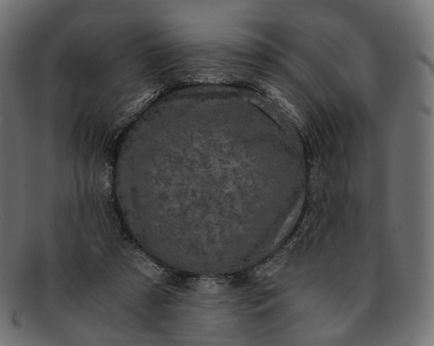 X0000091880305200709191202