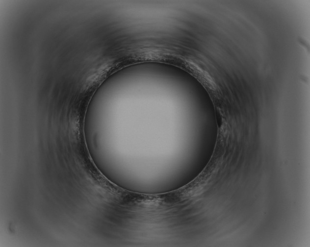 X0000091880306200709191202