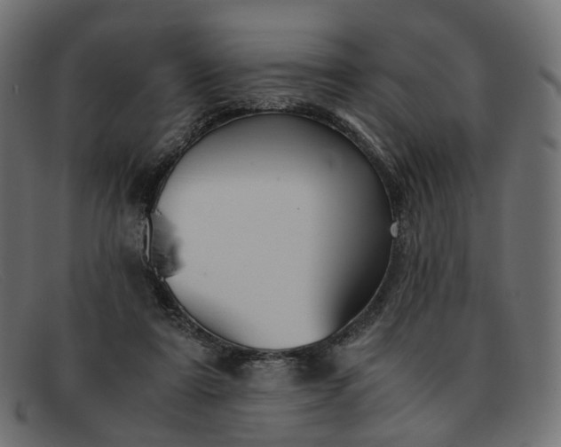 X0000091880307200709191202