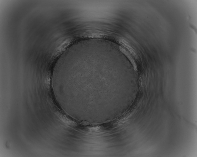 X0000091880309200709191202