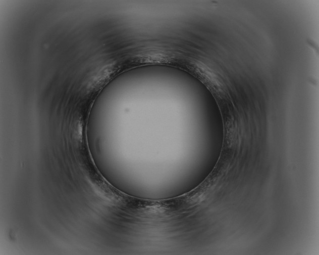 X0000091880310200709191202