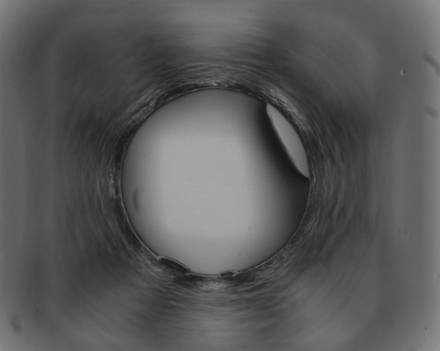 X0000091880313200709191202