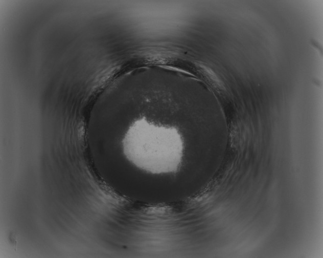 X0000091880314200709191202