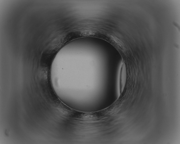 X0000091880315200709191202