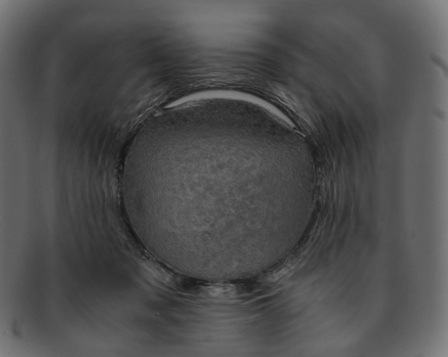 X0000091880317200709191202