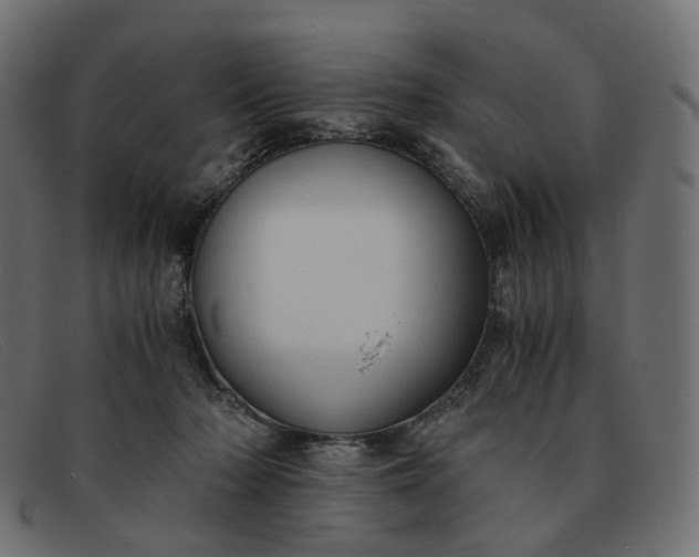 X0000091880318200709191202