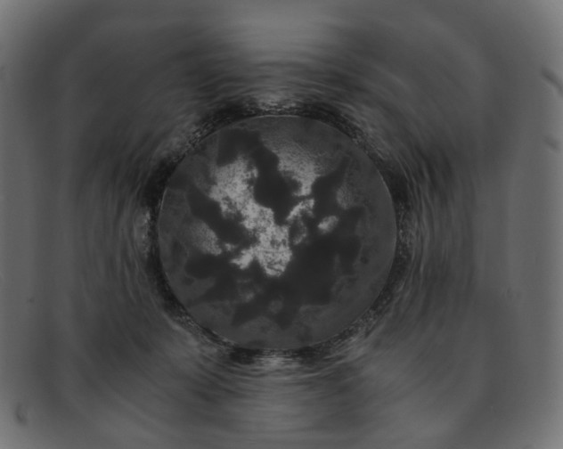 X0000091880319200709191202