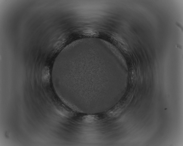 X0000091880320200709191202