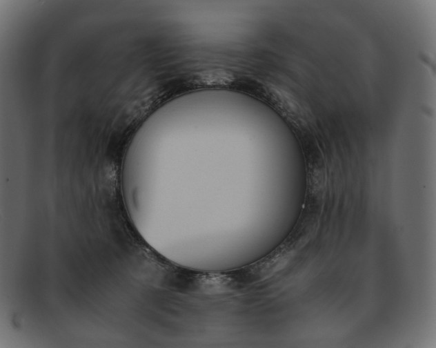 X0000091880321200709191202