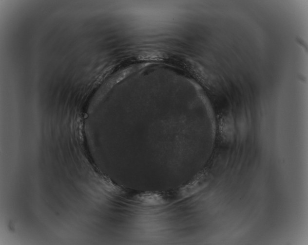 X0000091880322200709191202