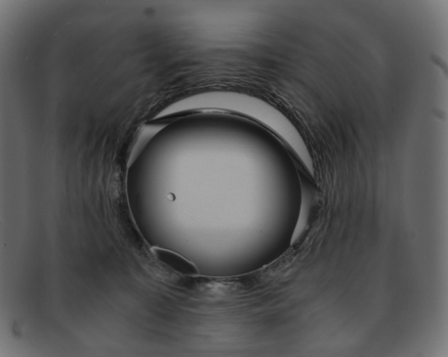 X0000091880323200709191201