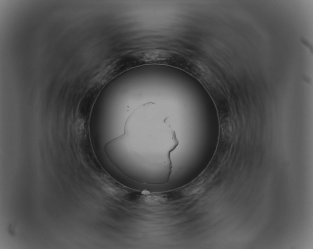 X0000091880327200709191201