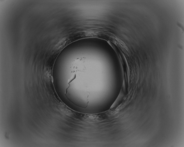 X0000091880329200709191201