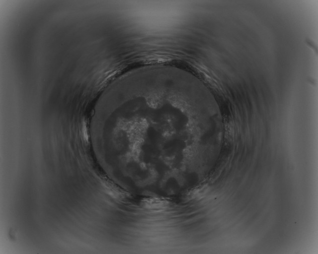 X0000091880331200709191201