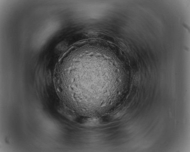 X0000091880335200709191201