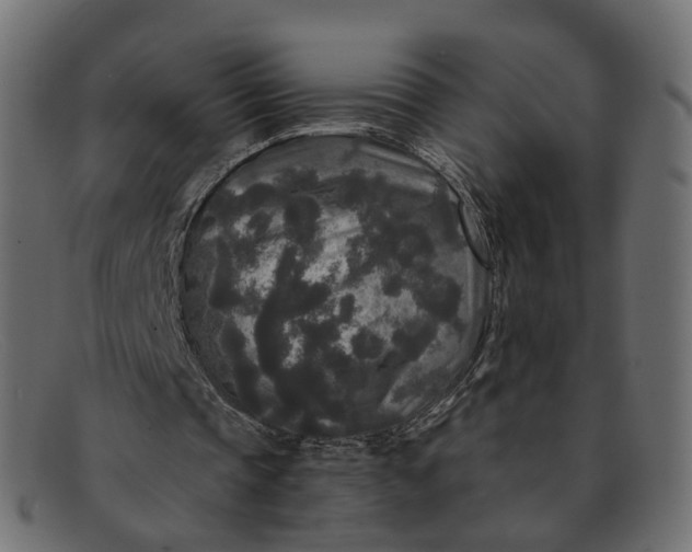 X0000091880337200709191201