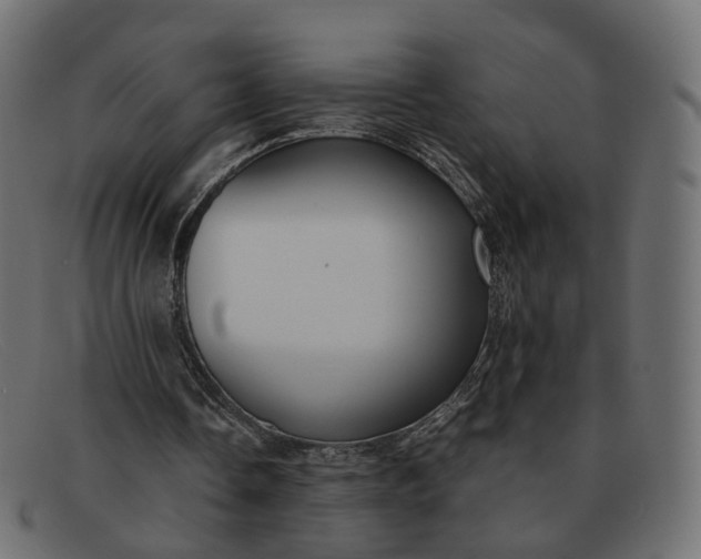 X0000091880338200709191201