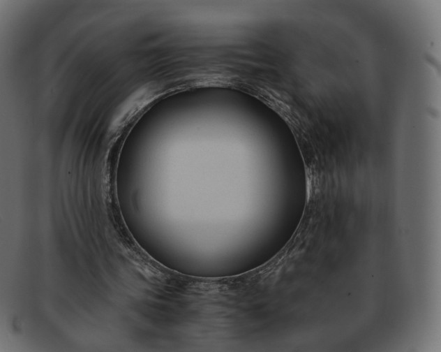 X0000091880339200709191201