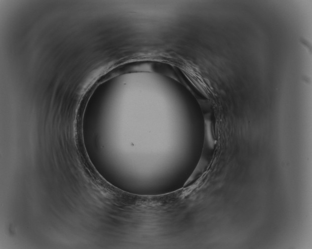 X0000091880340200709191201