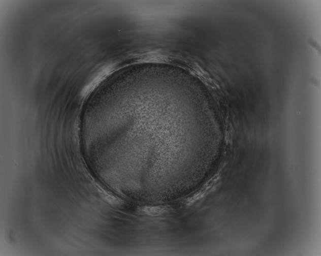 X0000091880341200709191201