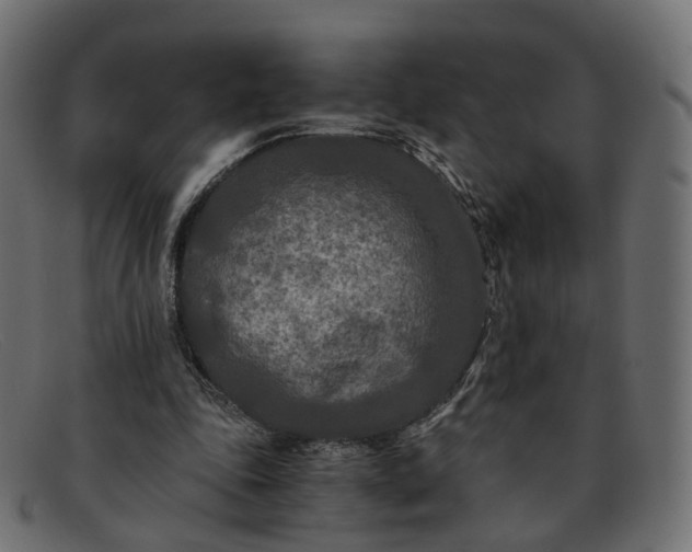 X0000091880343200709191201