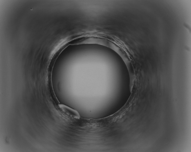 X0000091880344200709191201