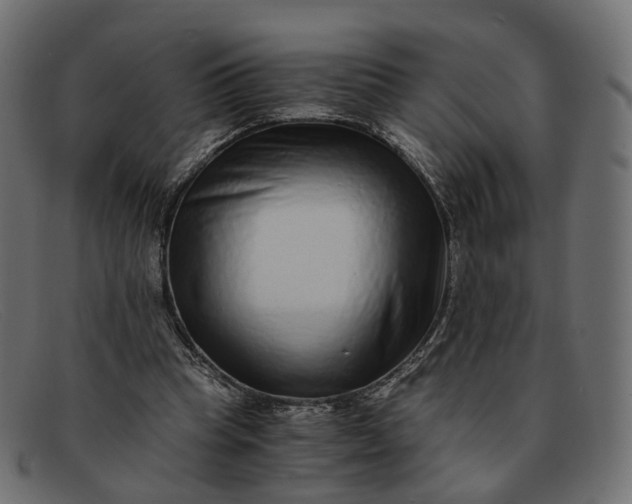 X0000091880345200709191201