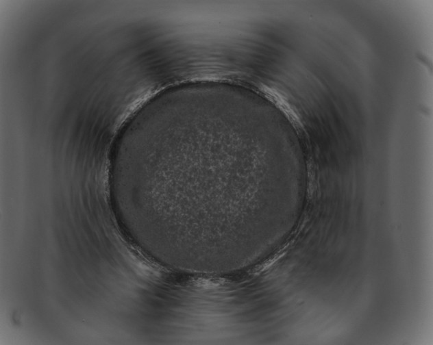 X0000091880346200709191201