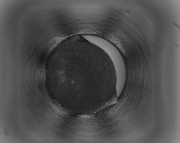 X0000091880348200709191201