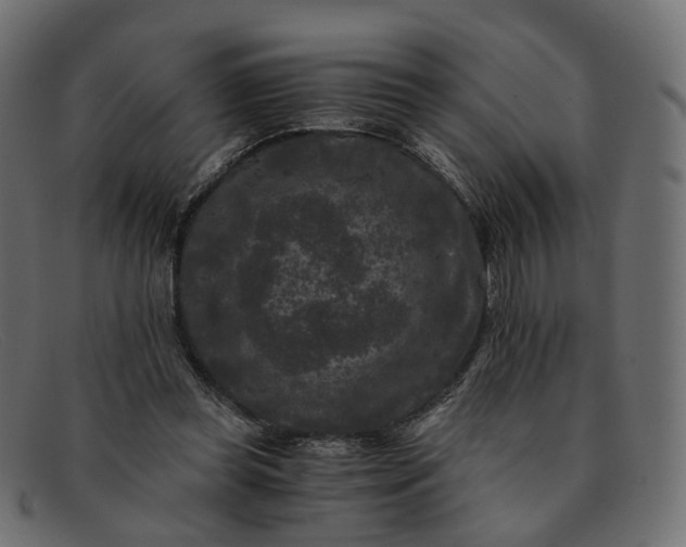 X0000091880349200709191201